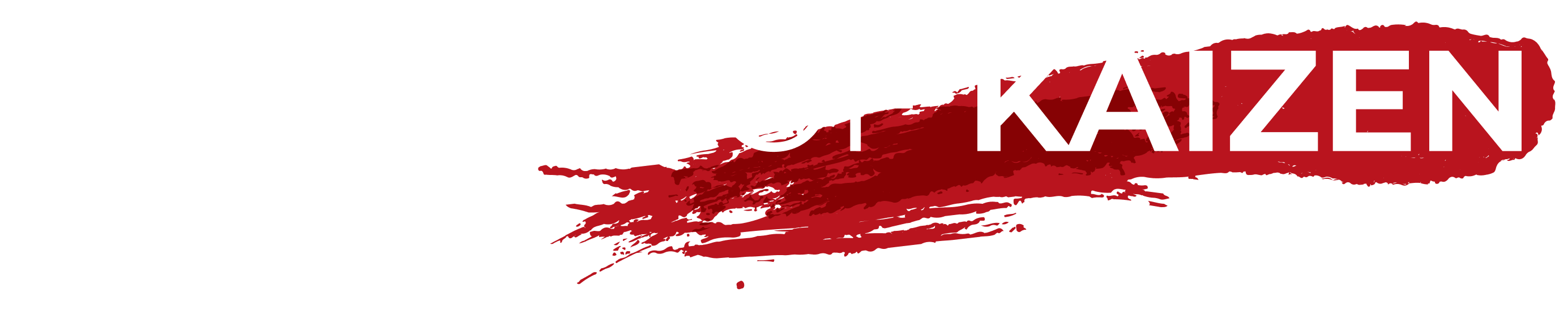 The Way of Kaizen